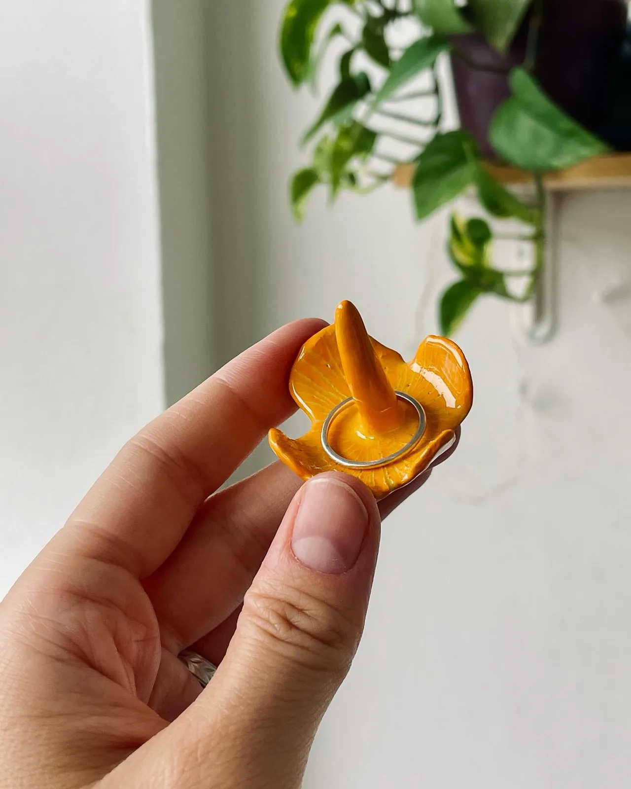 MUSHROOM RINGHOLDER